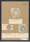 Actinoptychus simbirskianus A. Schm. (de-Toni-Nr.: Genus 227, Species 5583) Zeichnungen Sammlung Grunow Nr. 9480 (NHMW-BOT-W0379451)